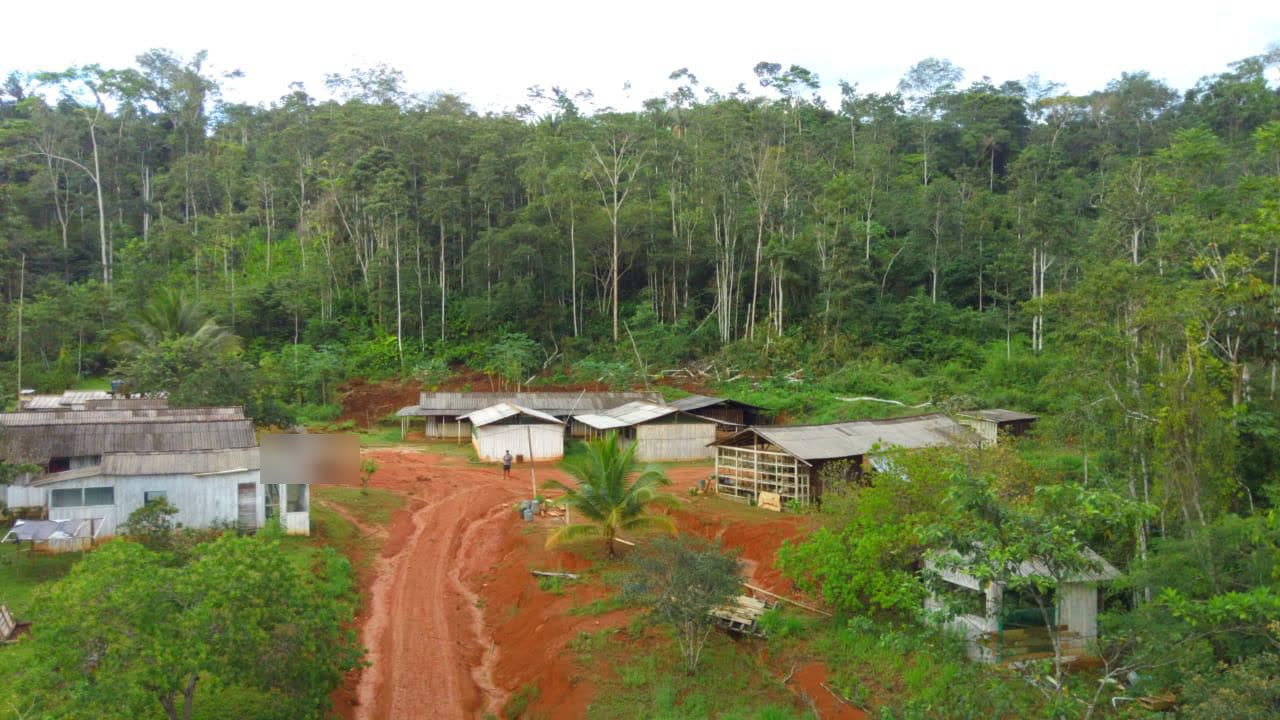 Site camp and support buildings surrounded by forest