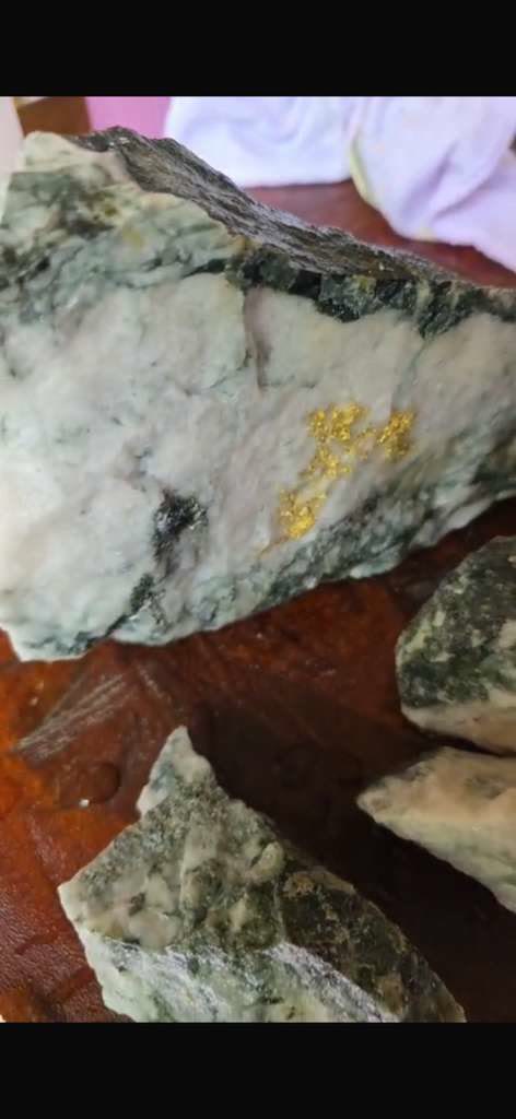 Close-up of a project ore sample with visible gold
