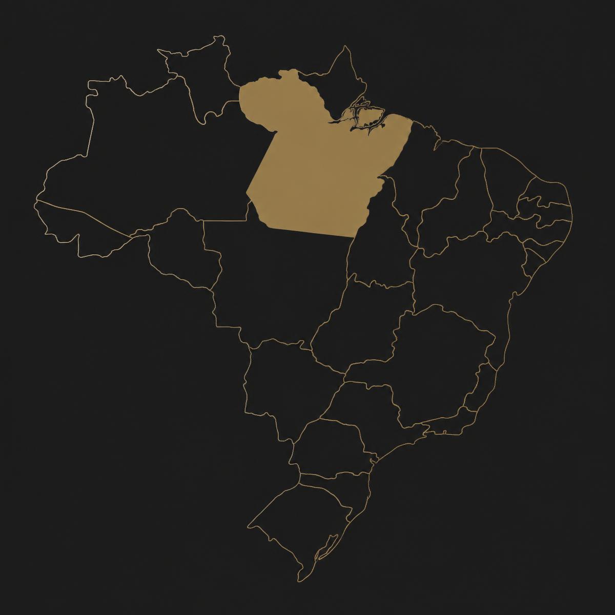 Stylised outline map of Brazil with the state of Pará highlighted. No project location is marked.